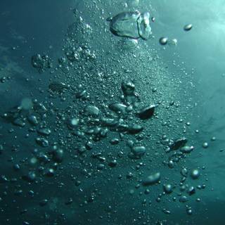 Water bubbles drops HD wallpaper