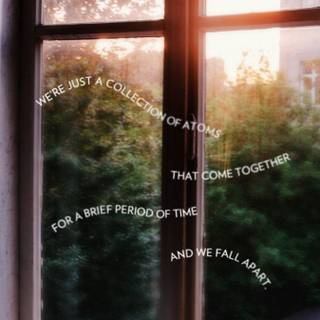 Chemical Hearts wallpaper