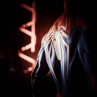 Spider-Man 4k HD wallpaper