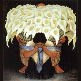 Diego Martin wallpaper