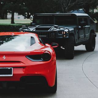 Diego Martin wallpaper