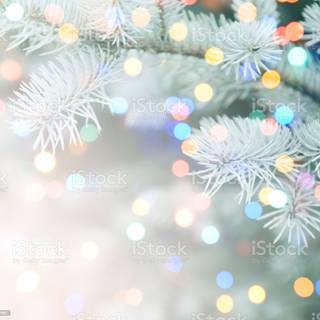 Christmas tree abstract wallpaper