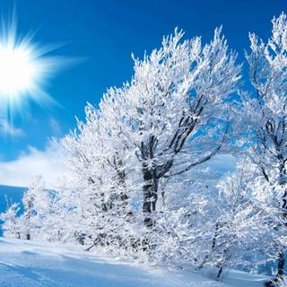Beautiful winter scenery wallpaper