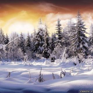 Beautiful winter scenery wallpaper