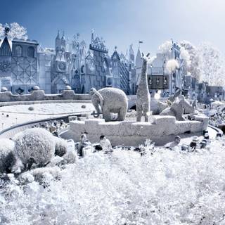 Magic winter wallpaper