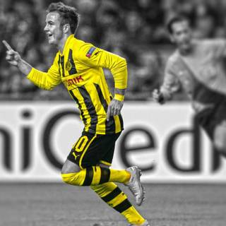 Gotze wallpaper