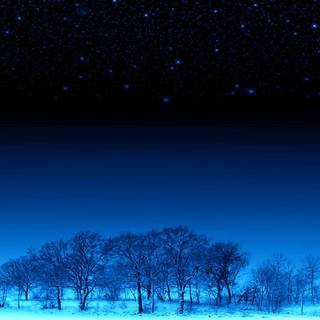 Dark winter night wallpaper