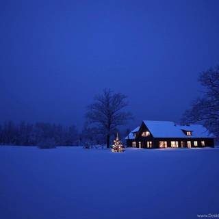 Dark winter night wallpaper