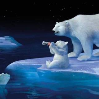 Christmas polar bear wallpaper