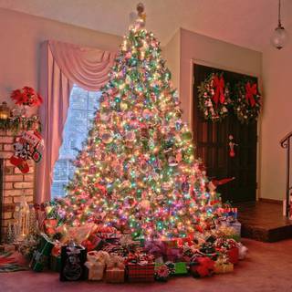 Traditional Christmas trees wallpaper