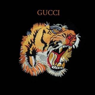 Gucci kids wallpaper
