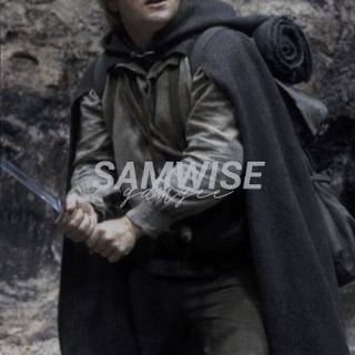Samwise Gamgee wallpaper