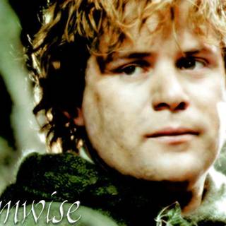 Samwise Gamgee wallpaper