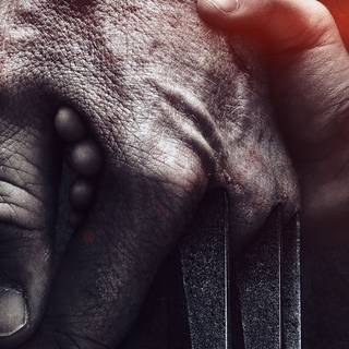 Wolverine hand wallpaper