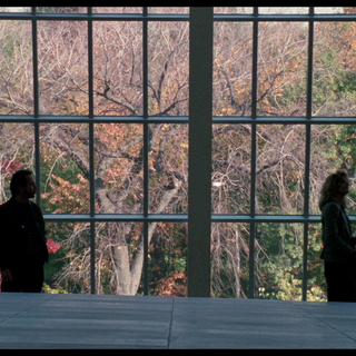 When Harry Met Sally... wallpaper