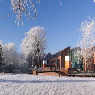 Three monitor winter wallpaper