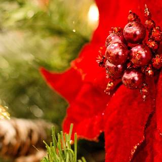 Christmas 1080x2340 wallpaper