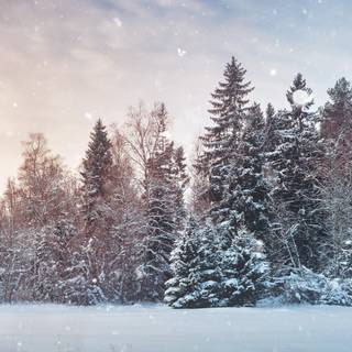 Three monitor winter wallpaper