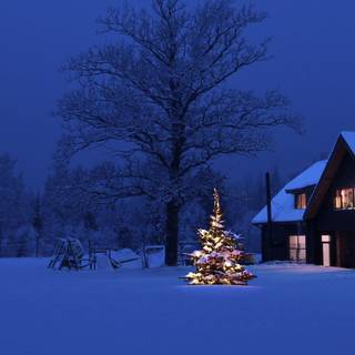 Multiple winter desktop wallpaper