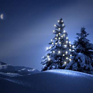 Christmas at night wallpaper