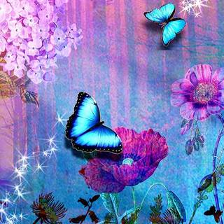 Butterfly in beautiful forest wallpaper