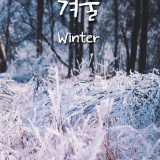 Winter South Korea wallpaper