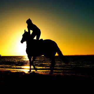 Horse women sunset wallpaper