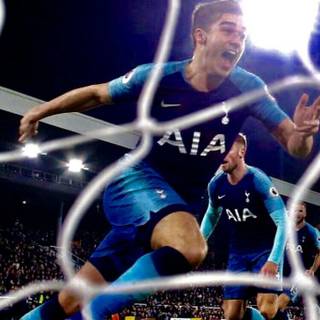 Harry​ Winks​ wallpaper