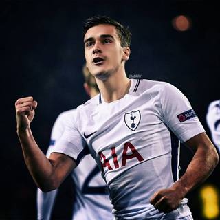 Harry​ Winks​ wallpaper