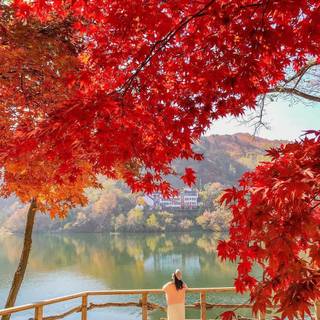 South Korea autumn wallpaper