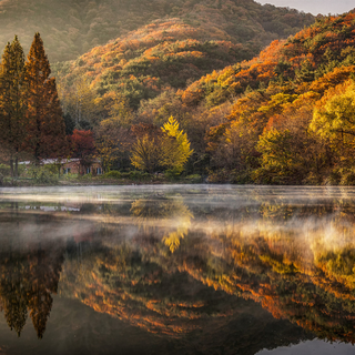 South Korea autumn wallpaper