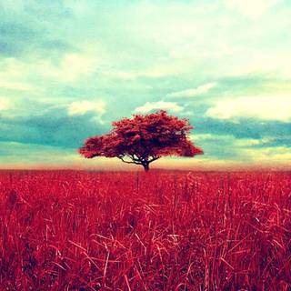 Cool HD retro wallpaper