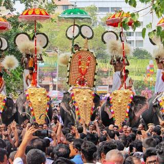 Thrissur Pooram wallpaper