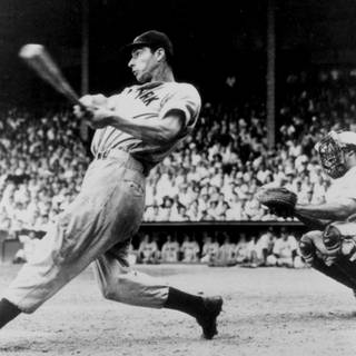 Joe DiMaggio wallpaper