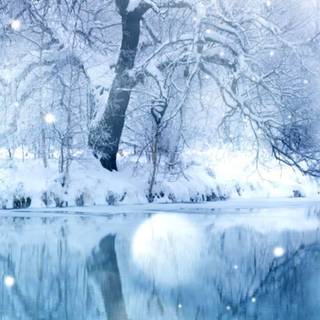 Multiple winter desktop wallpaper