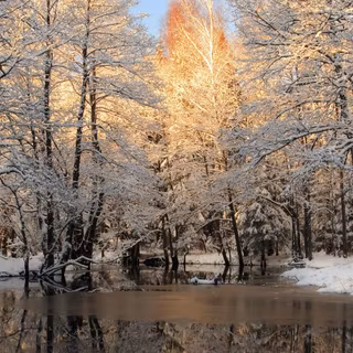 Multiple winter desktop wallpaper