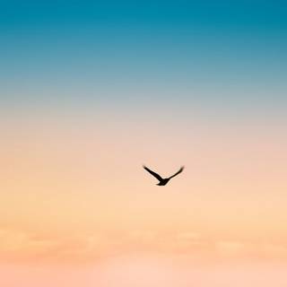 Vanilla Sky wallpaper