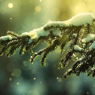 Winter dual monitor wallpaper