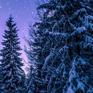 iPhone winter trees wallpaper