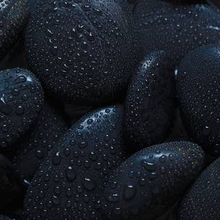 Blackshades wallpaper