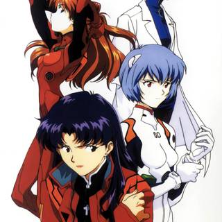 Misato Katsuragi wallpaper