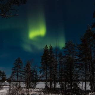 Winter night 2560x1440 wallpaper