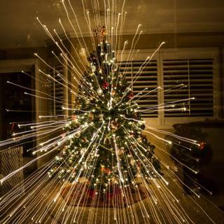 Christmas lights on trees wallpaper