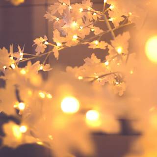 Christmas lights on trees wallpaper