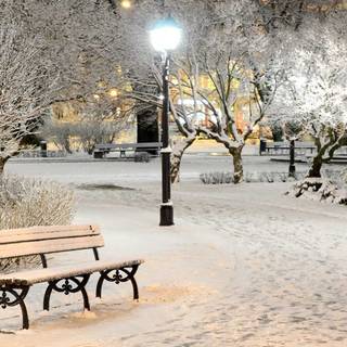 Winter outdoor wallpaper