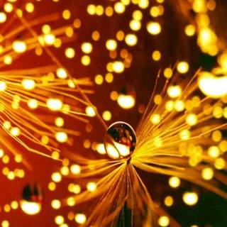 Christmas lights mobile wallpaper