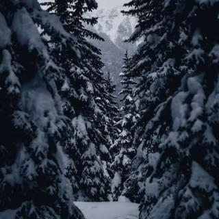 Winter outdoor wallpaper