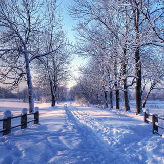 Macbook aesthetic winter wallpaper