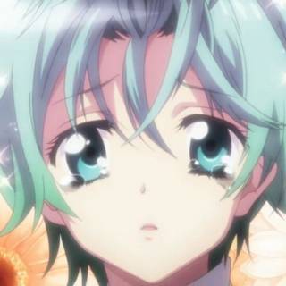 Kouta Shinohara wallpaper