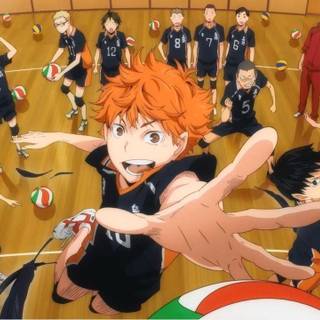 Karasuno High School Volleyball Club wallpaper
